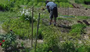 jardin.jpg