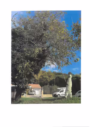 Scan du 25102313250.pdf