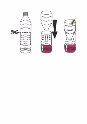 bouteille frelon.pdf
